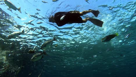 man enjoying snorkeling in the crystal clear ocean waters with exotic fishes - underwater shot