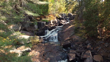 rising-drone-footage-looking-down-on-a-creek-among-the-pine-trees-in-a-forest