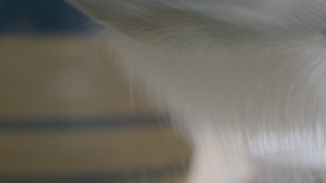 flour being sifted through mesh sieve during baking