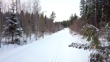 smooth-crane-shot-of-elite-cross-country-skier-in-practise,-cinema-4K