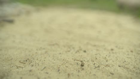 Sand-Am-Strand-Aus-Nächster-Nähe