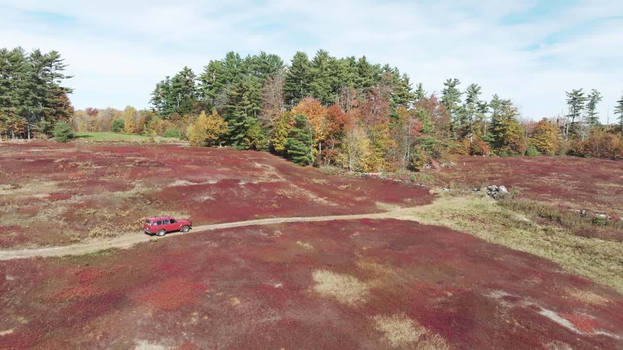 Red SUV drives through a vibrant red and orange fall landscape in rural Maine, surrounded by pine and hardwood trees at peak foliage.