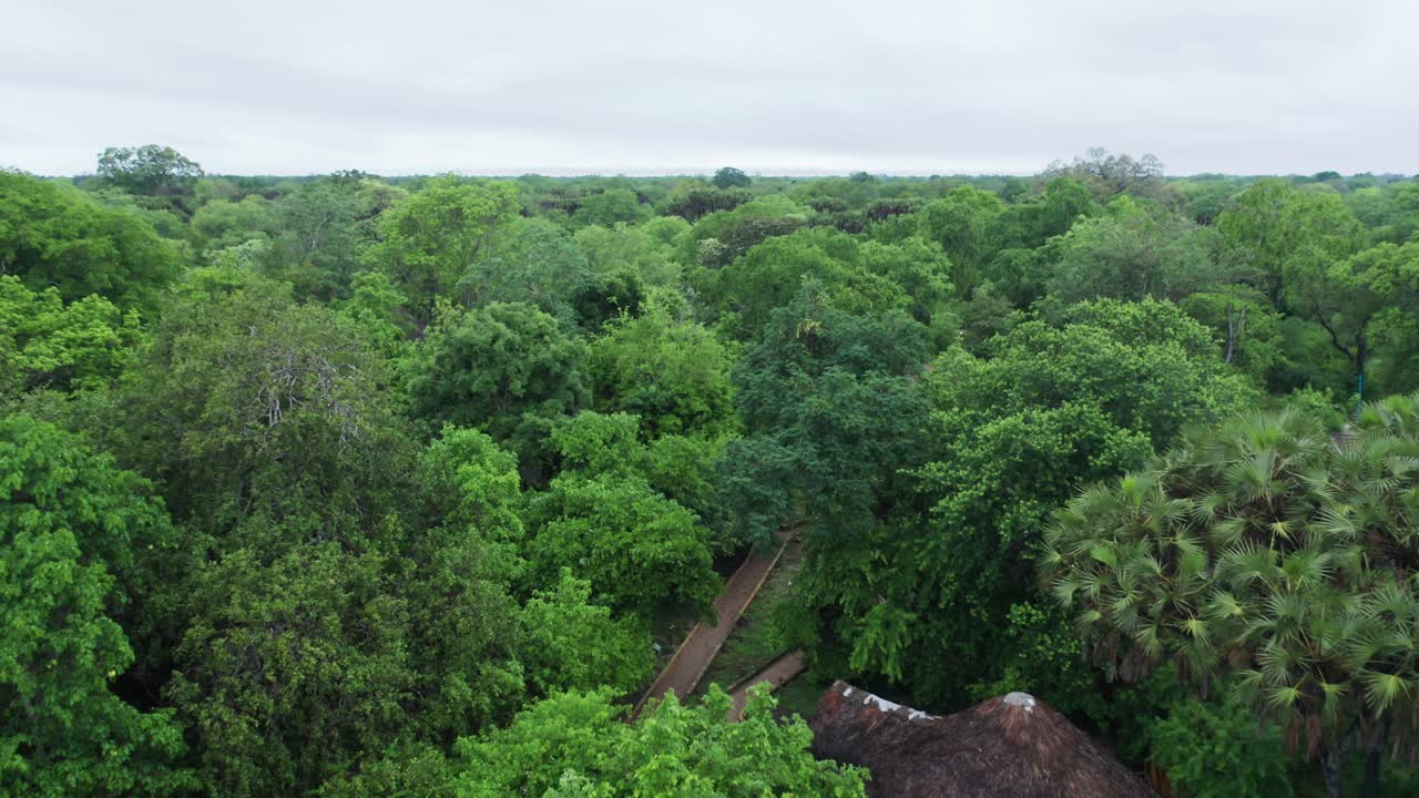 Aerial drone shot flying forward slowly over a luxury lodge in the dense Selous jungle. Tanzania, cloudy day.