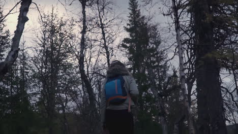 caminar en un bosque de otoño