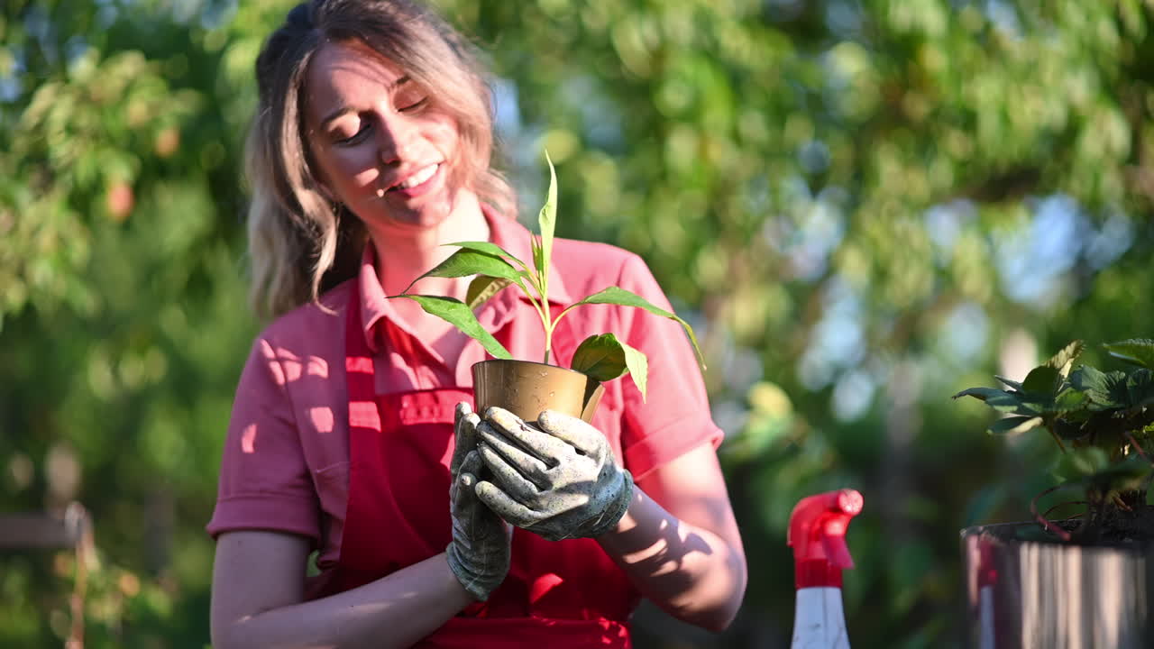Female gardener using a spray bottle to water or treat strawberry plants in a bright green garden