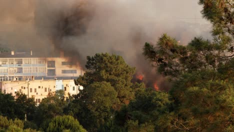 vista desde arriba, humo oscuro y llamas del fuego en la fábrica de corcho, portugal