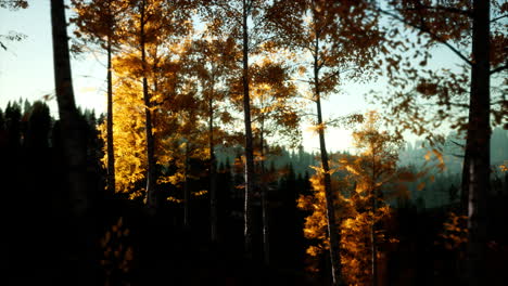 paisaje de otoño con bosque amarillo de montaña