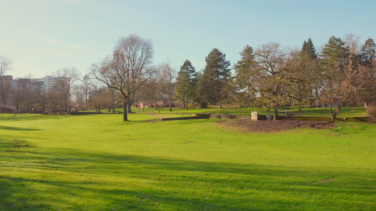 Green lawn, leafless trees and evergreens in city park in sunlight