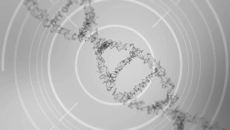 animación del procesamiento de datos digitales sobre el hilado de cadenas de adn