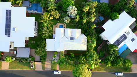 Drone-Aéreo-De-Casa-Tropical-Con-Piscina-Y-Grandes-Palmeras,-De-Arriba-Hacia-Abajo-Desciende-Mientras-La-Luz-Del-Sol-Esparce-Rayos-Dorados-En-El-Techo