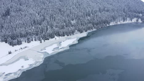 forest surrounds shore of frozen lake