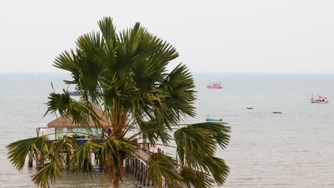 a palm tree with a pier and thai fishing vessels in the background going out to sea off the coast of pattaya in thailand