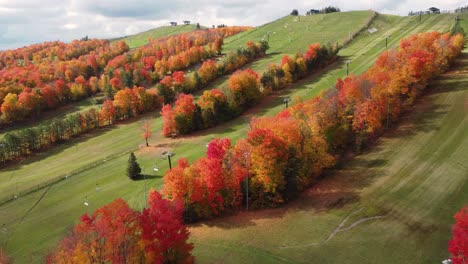 aerial shot of ski slope without snow on it during fall with colourful trees and grass