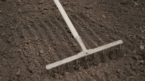 working in a farmer's garden - a man levels the soil with a rake