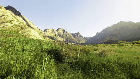 stunning mountain landscape with lush green grass and clear sky at midday