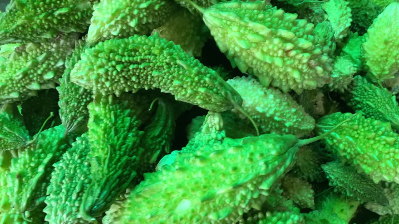 dando vueltas a un montón de calabazas amargas verdes frescas