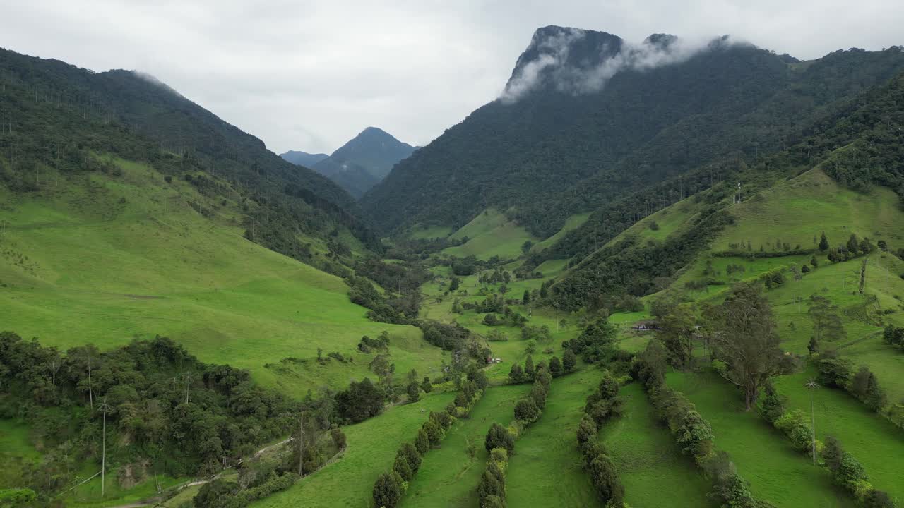 vista aérea del exuberante valle verde del cocora en colombia