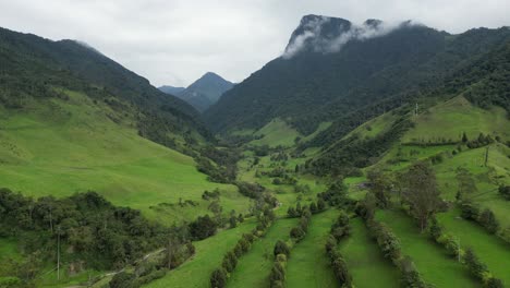 Aerial-View-Of-Lush-Green-Valle-Del-Cocora-In-Colombia