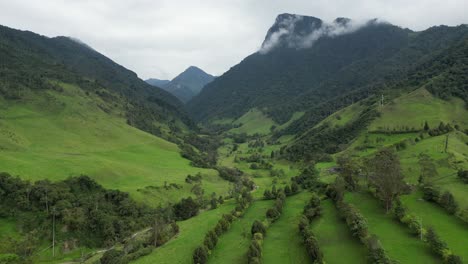 aerial view of lush green valle del cocora in colombia