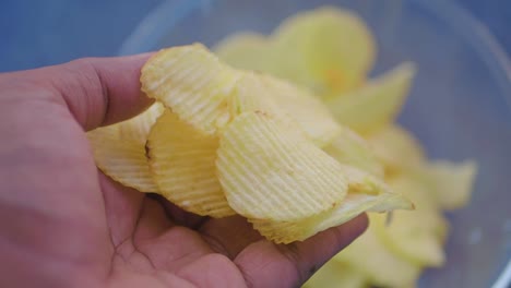 handful of potato chips