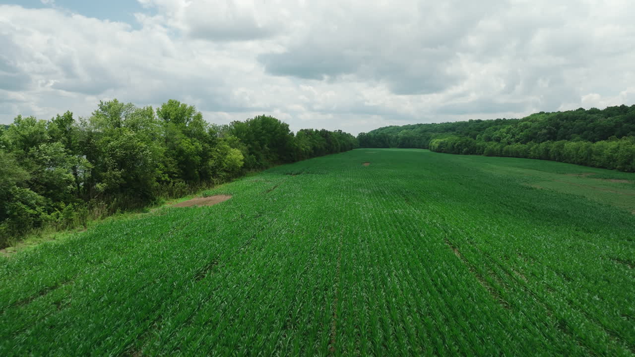 Verdant Landscape Of Agricultural Field In Mousetail Landing State Park, Linden, Tennessee, USA - aerial drone shot
