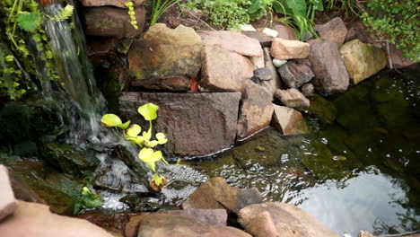 Zeitlupenschwenks-Vom-Wasserfall-Zum-Blick-Auf-Den-Teich-Mit-Koi-Und-Mosaikpflanze