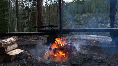 Lagerfeuer-Im-Wald