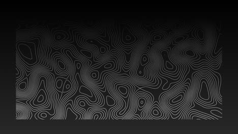 animación de líneas topográficas blancas en movimiento orgánico sobre fondo negro