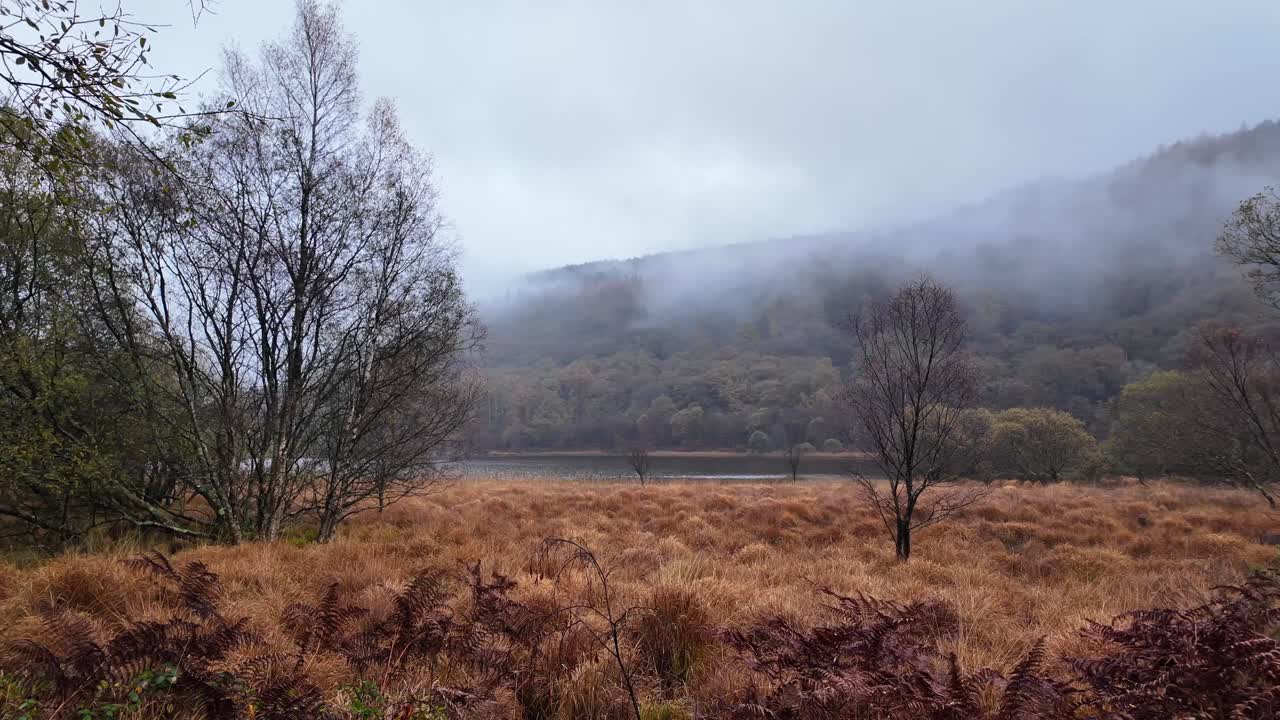 아일랜드의 서사시적인 장소, 겨울의 풍경, 위클로우의 고지대 모어랜드, 아일랜드