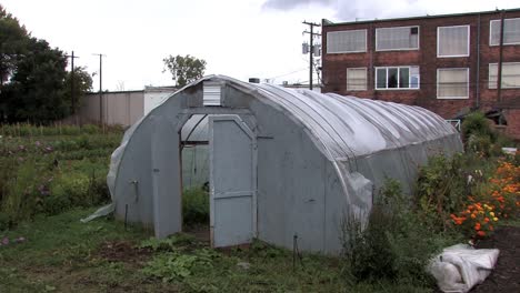 green house or urban gardening in detoit, michigan, usa