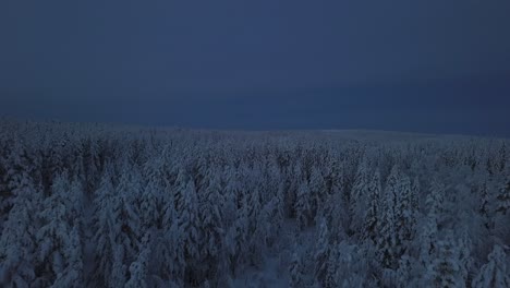 El-Paisaje-Invernal-Helado-De-Hanhimaa-En-Finlandia