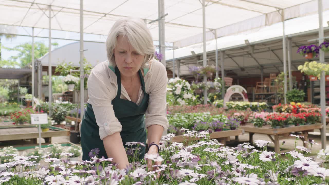 온실 에서 꽃 을 키우고 있는 여자