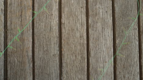 animation of flickering fairy lights with copy space on wooden background