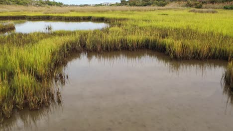 Volando-Bajo-Sobre-El-Pantano-En-Oak-Island-Carolina-Del-Norte