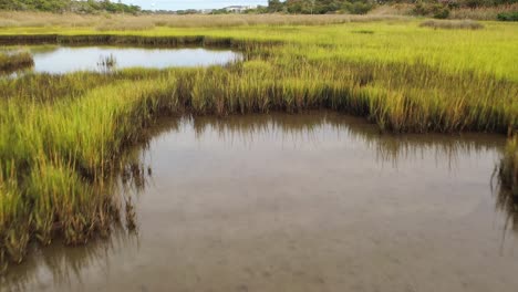 volando bajo sobre el pantano en oak island carolina del norte