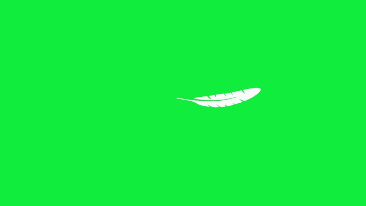 Flydende fjer chroma key visuel med lys grøn baggrund, hvid fjer og tom ren kopi