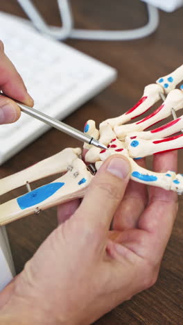 hand skeleton model. doctor showing the work of human's hand on a model on the table background. concept of medicine. vertical video