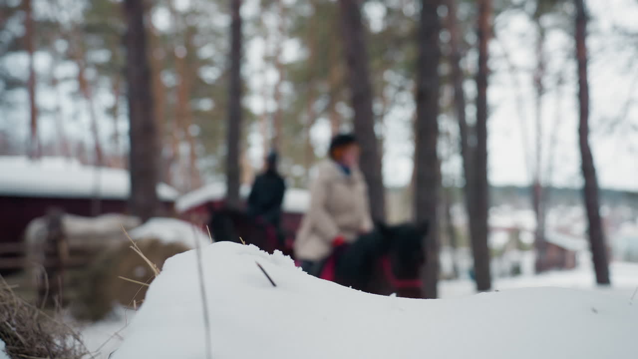 Montículo de nieve en primer plano, jinetes borrosos detrás, quietud invernal y tranquila enmarcada por pinos, la composición enfatiza la textura de la nieve y las figuras distantes, movimiento suave insinuado en el enfoque suave