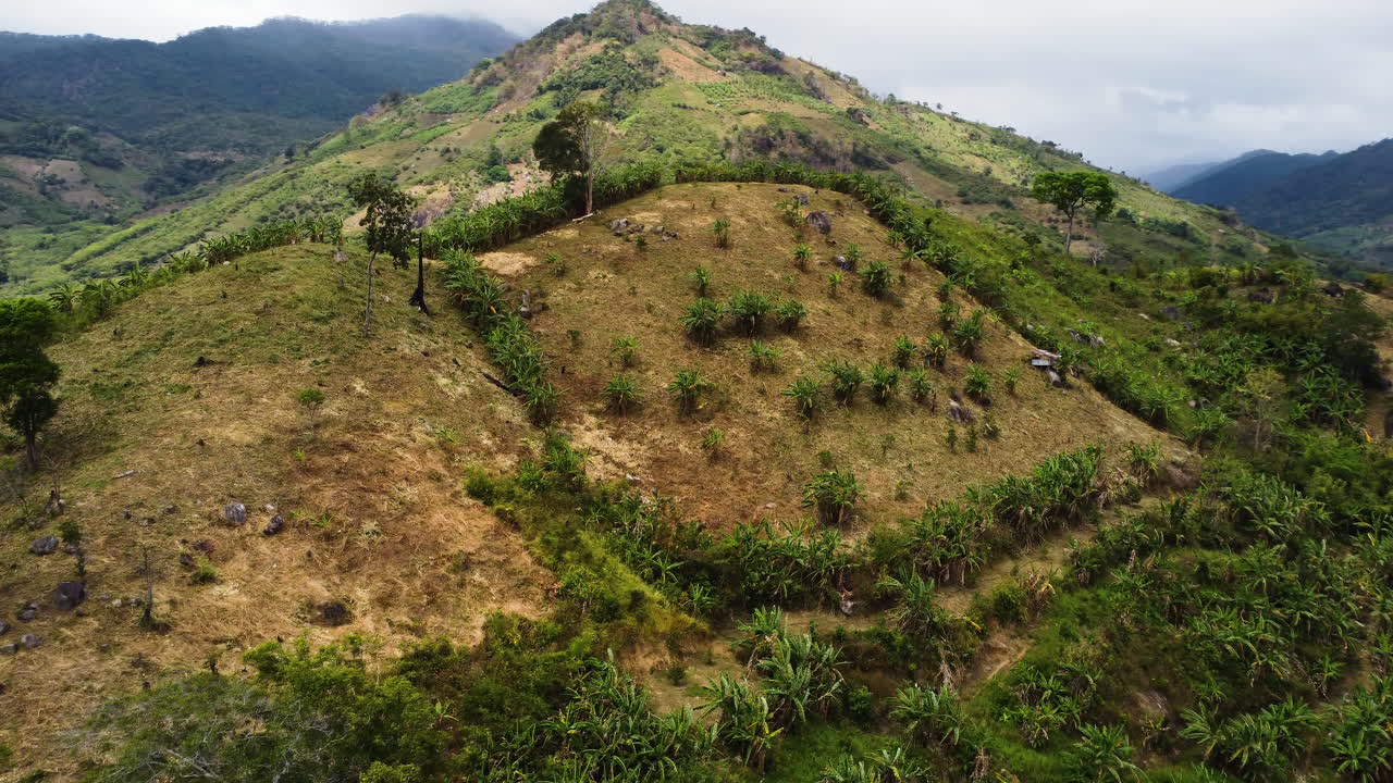 phuoc binh vietnam, agricultura zona rural remota del campo con entorno agrícola para el mercado asiático