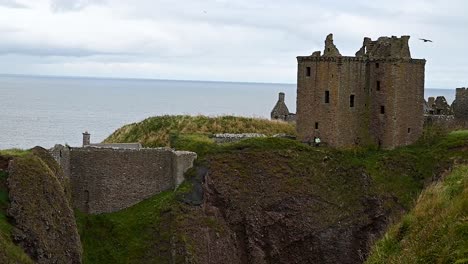 Birds-flying-over-the-Dunnottar-Castle,-Scotland,-United-Kingdom