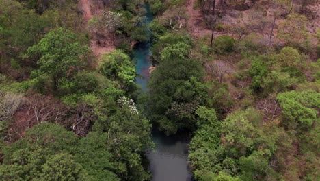 Discover-the-tranquil-beauty-of-a-pristine-blue-river