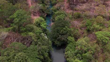 descubra la belleza tranquila de un río azul prístino
