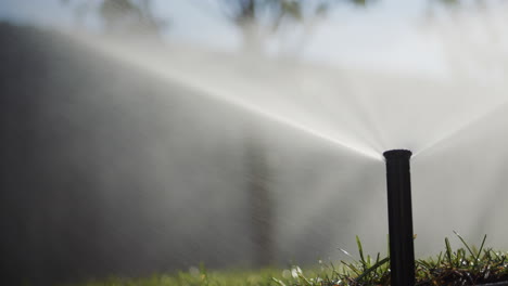 automatic watering system watering the garden. bottom view of the high-pressure nozzle