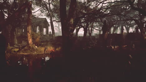 foggy forest graveyard