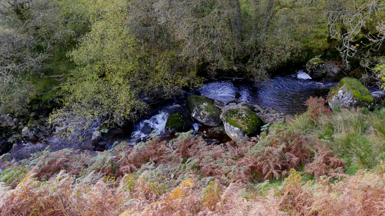 un arroyo galés con rocas y piedras con agua que fluye sobre el