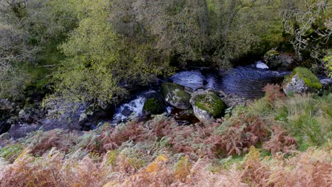 a welsh stream with rocks and stones with water flowing over the