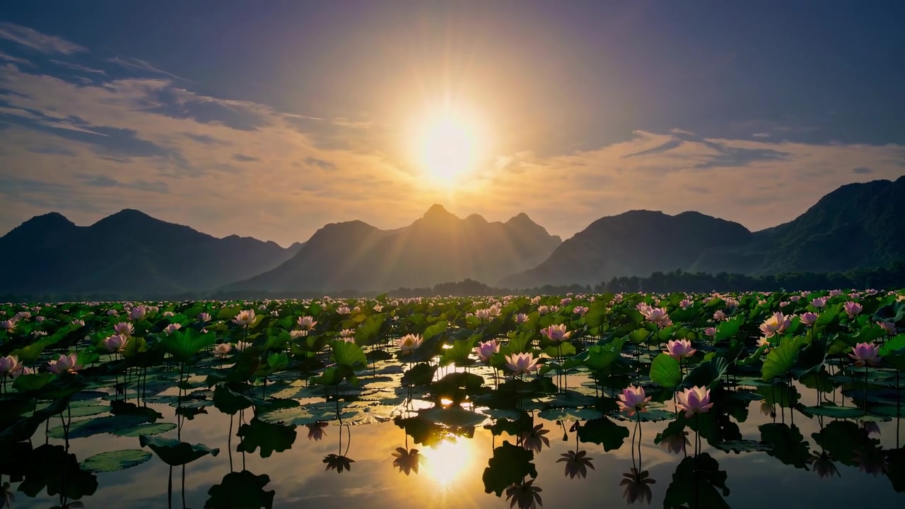 Hoàng hôn vàng óng trên hồ sen thanh bình với bóng núi phản chiếu
