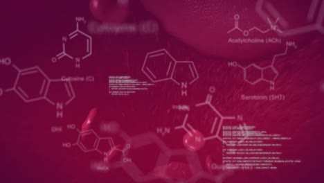 Animation-of-chemical-formulas-and-data-processing-over-floating-blood-cells