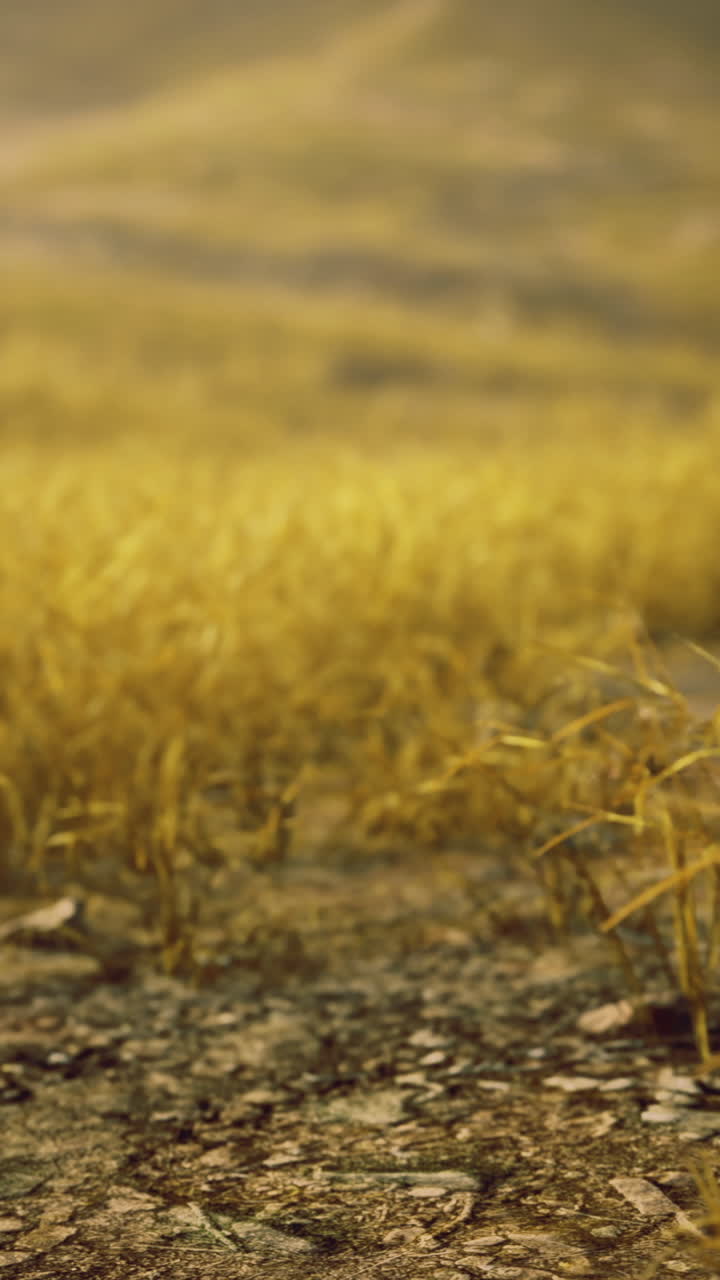 Terreno agricolo colpito dalla siccità con terreno strutturato e colline in lontananza