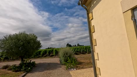 scenic vineyard landscape under a cloudy sky